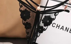 大尺寸的小黄说字多肉小学